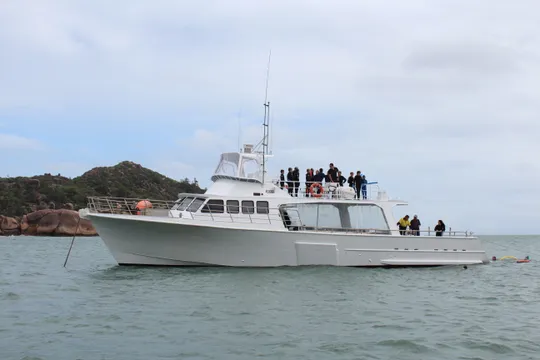 Townsville Whale Watching and Wildlife Cruise - 4 Hours
