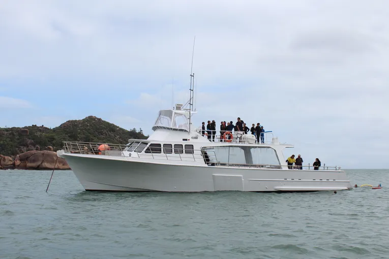 Townsville Whale Watching Cruise - 4 Hours | Experience Oz