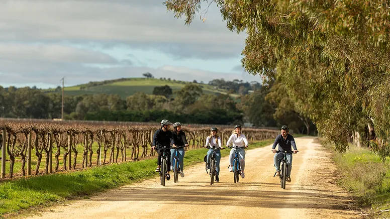 Barossa Valley Food & Wine E-Bike Tour - Half Day | Experience Oz