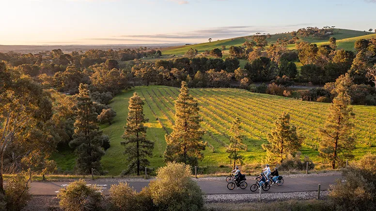 Barossa Valley Food & Wine E-Bike Tour - Half Day | Experience Oz -4
