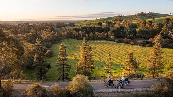 Barossa Valley Gourmet Food Wine E-Bike Tour