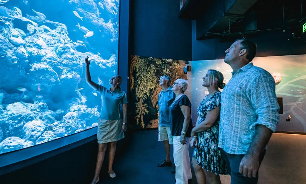 Aquarium By Twilight Guided Tour - 2 Hours | Experience Oz-5