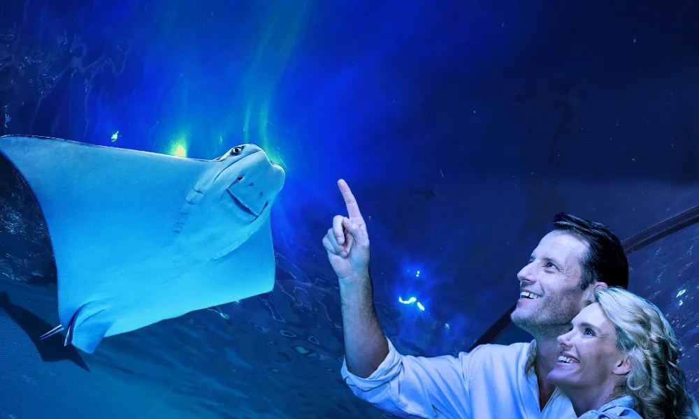 Aquarium By Twilight Guided Tour - 2 Hours | Experience Oz-7