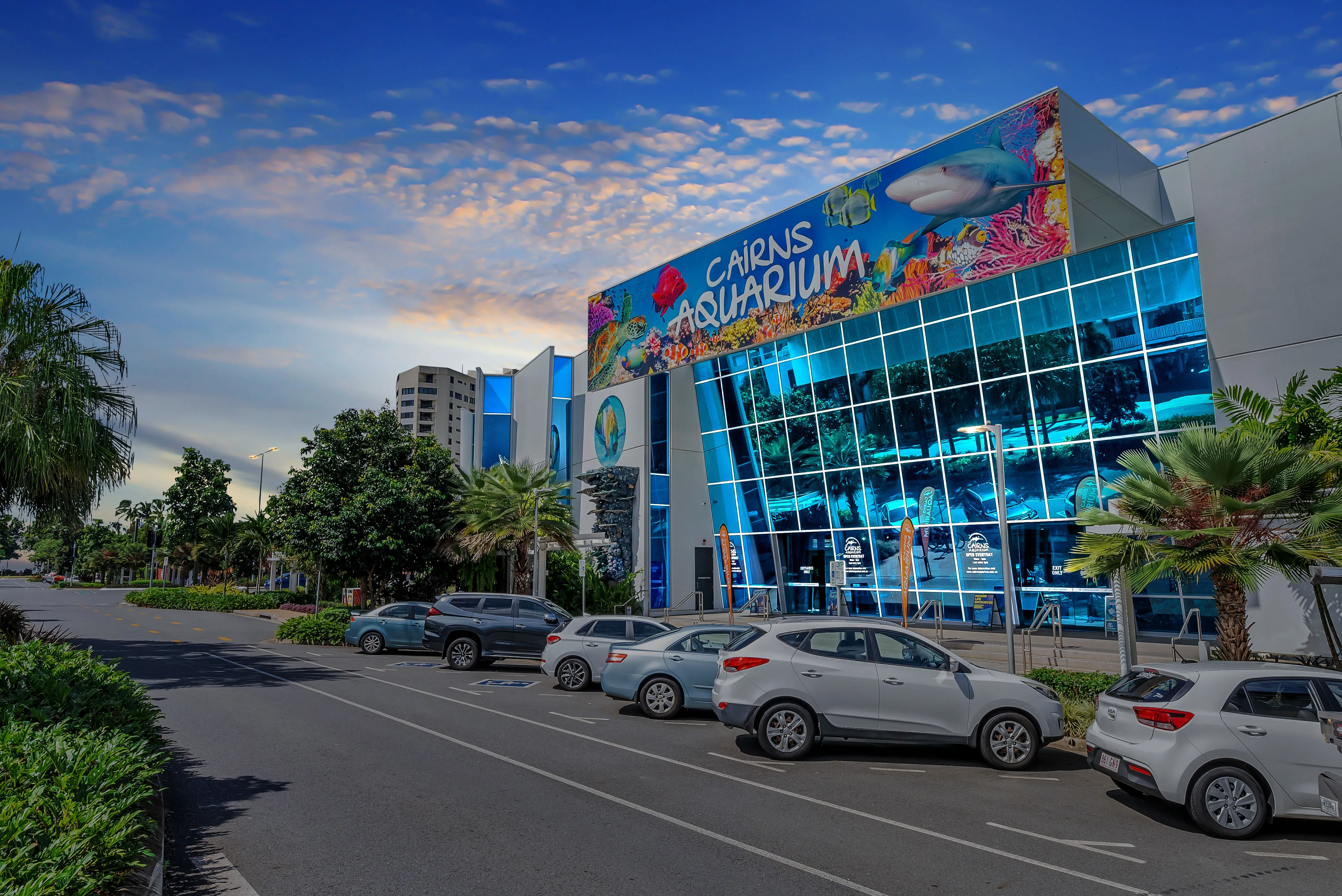 Aquarium By Twilight Guided Tour - 2 Hours | Experience Oz-2