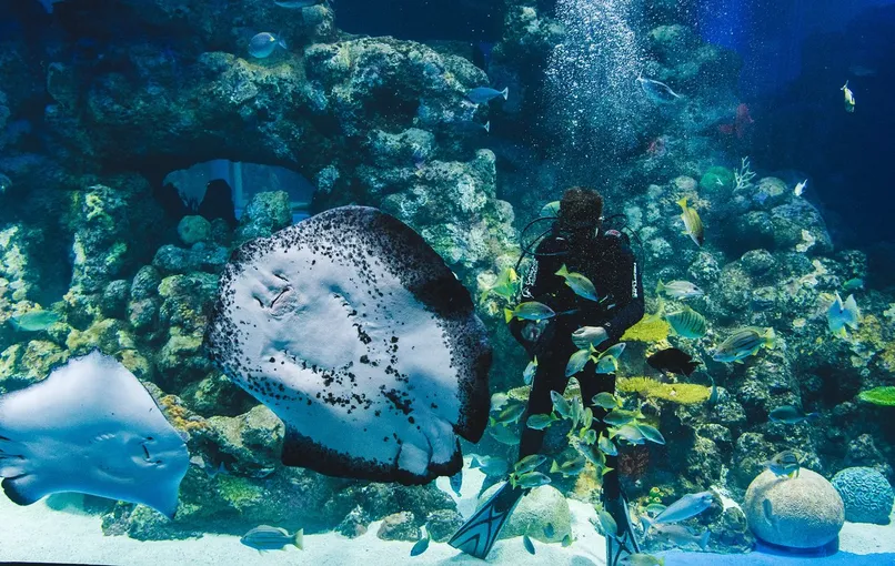 Night at the Aquarium Guided Tour - 90 Minutes | Experience Oz