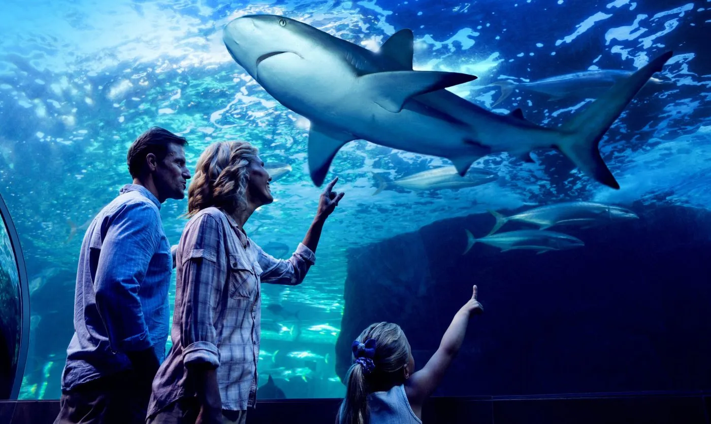 Night at the Aquarium Guided Tour - 90 Minutes | Experience Oz-4