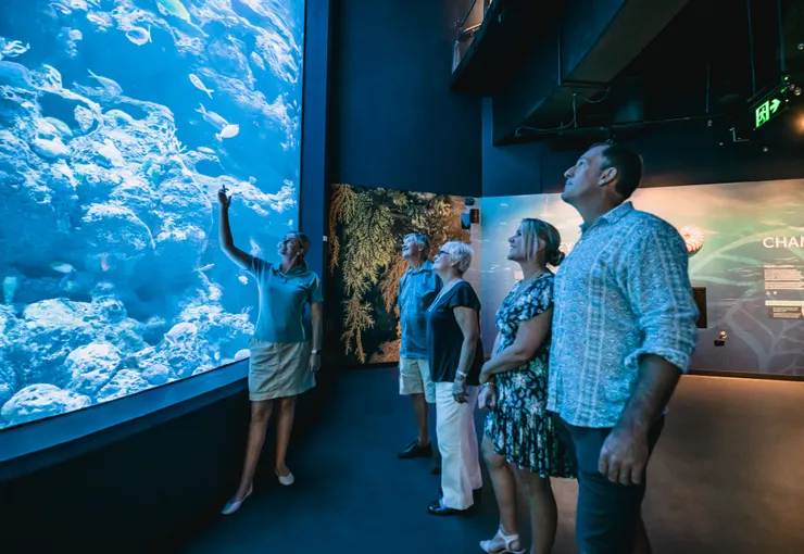 Night at the Aquarium Guided Tour - 90 Minutes | Experience Oz
