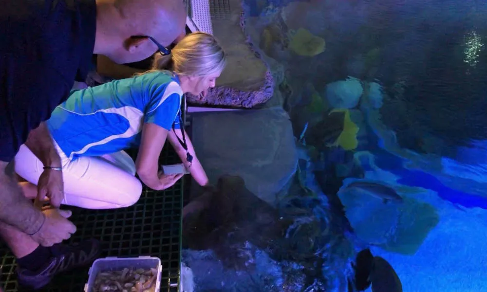 Marine Life Encounter Aquarium Guided Tour | Experience Oz-3