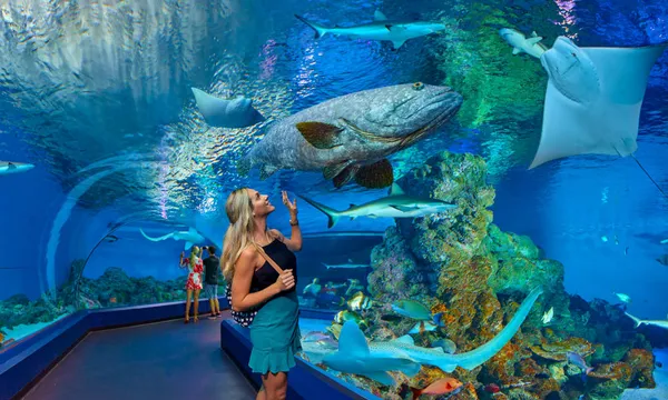 Marine Life Encounter Aquarium Private Guided Tour - 3 Hours