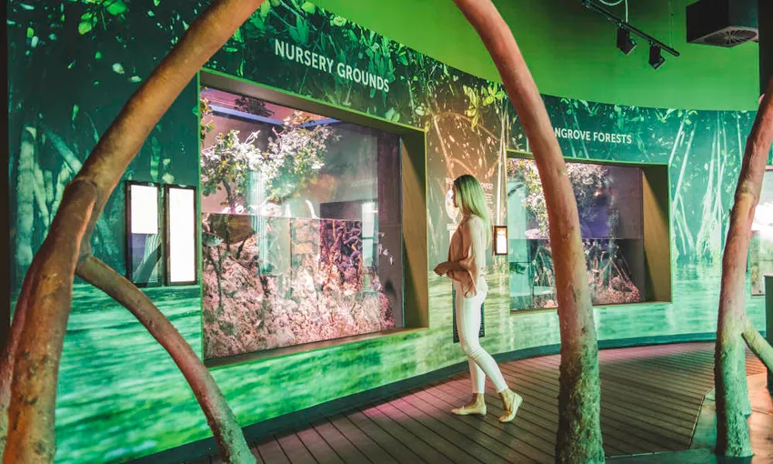 Marine Life Encounter Aquarium Guided Tour | Experience Oz