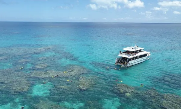 Outer Great Barrier Reef Guided Snorkel Tour - Full Day
