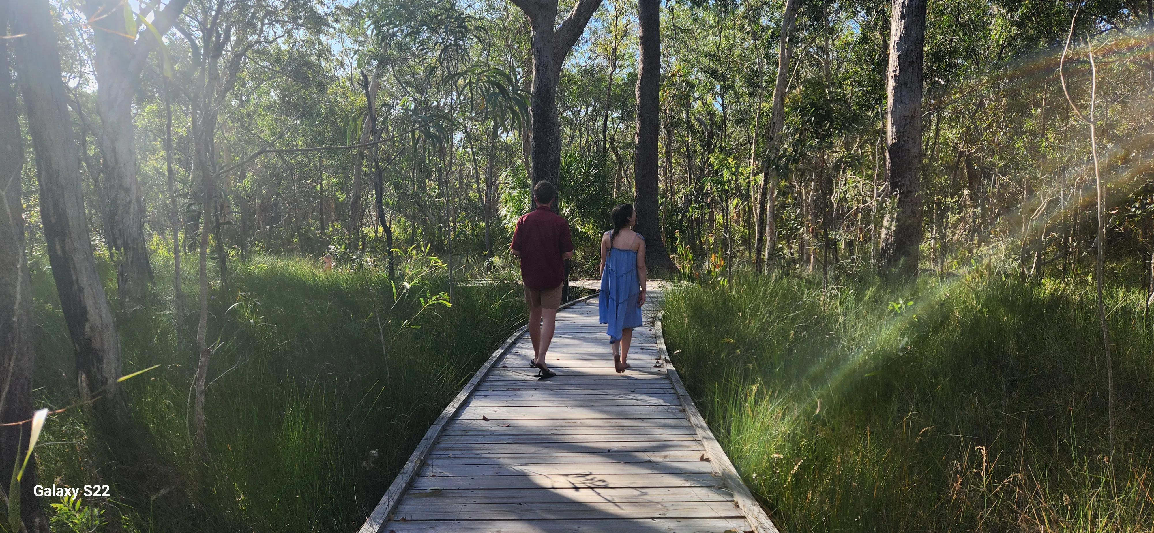 Agnes Water Bush Medicine Boardwalk Tour | Experience Oz-2
