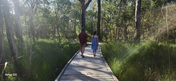 Agnes Water Bush Medicine Boardwalk Tour - 2 Hours