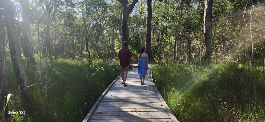 Agnes Water Bush Medicine Boardwalk Tour | Experience Oz