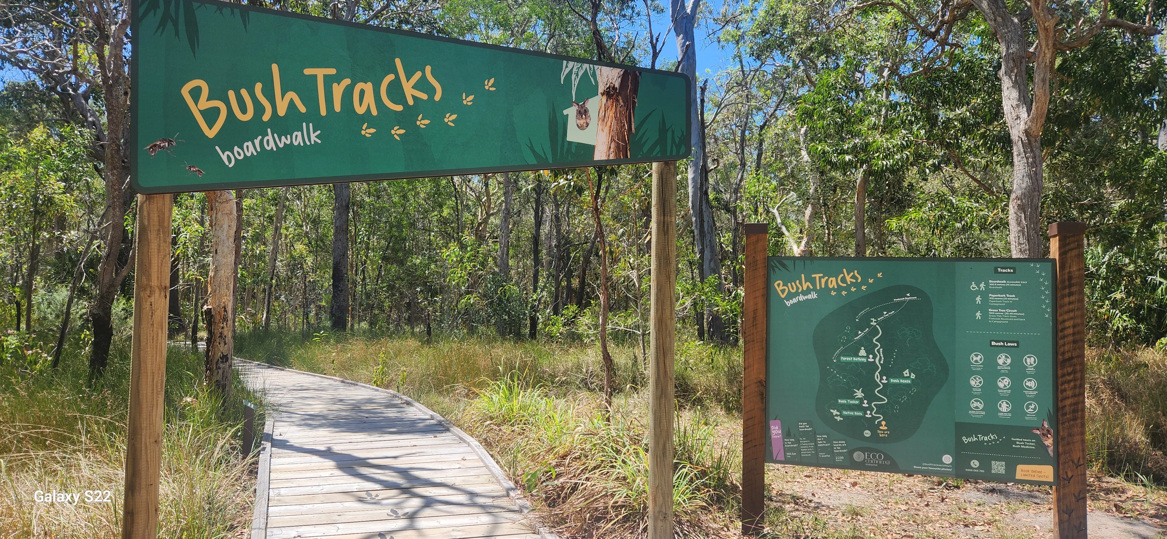 Agnes Water Bush Medicine Boardwalk Tour | Experience Oz-3