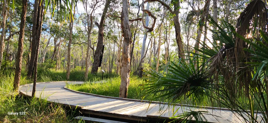 Agnes Water Bush Medicine Boardwalk Tour | Experience Oz