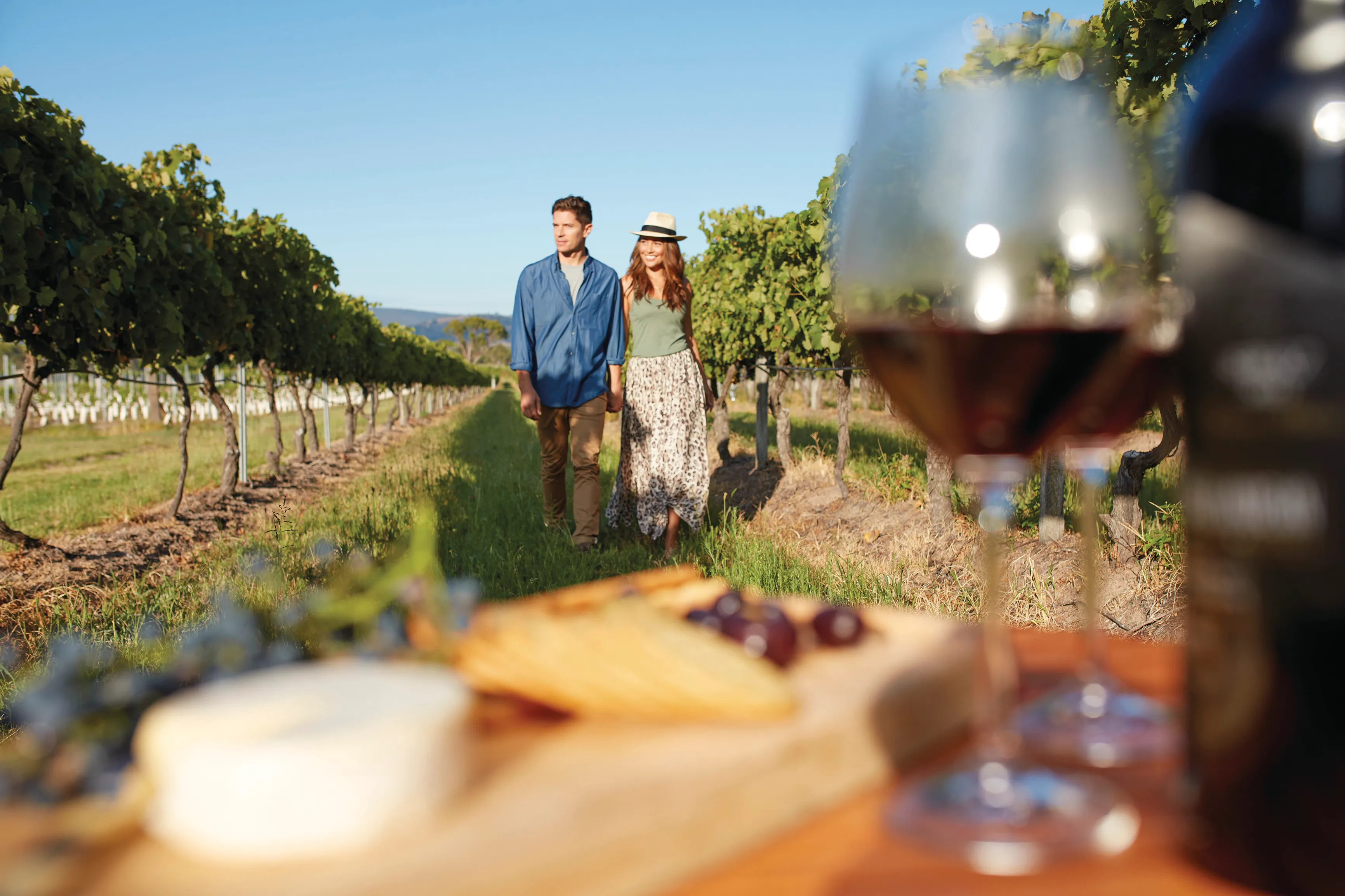 Granite Belt Vintage Private Guided Tour | Experience Oz-4