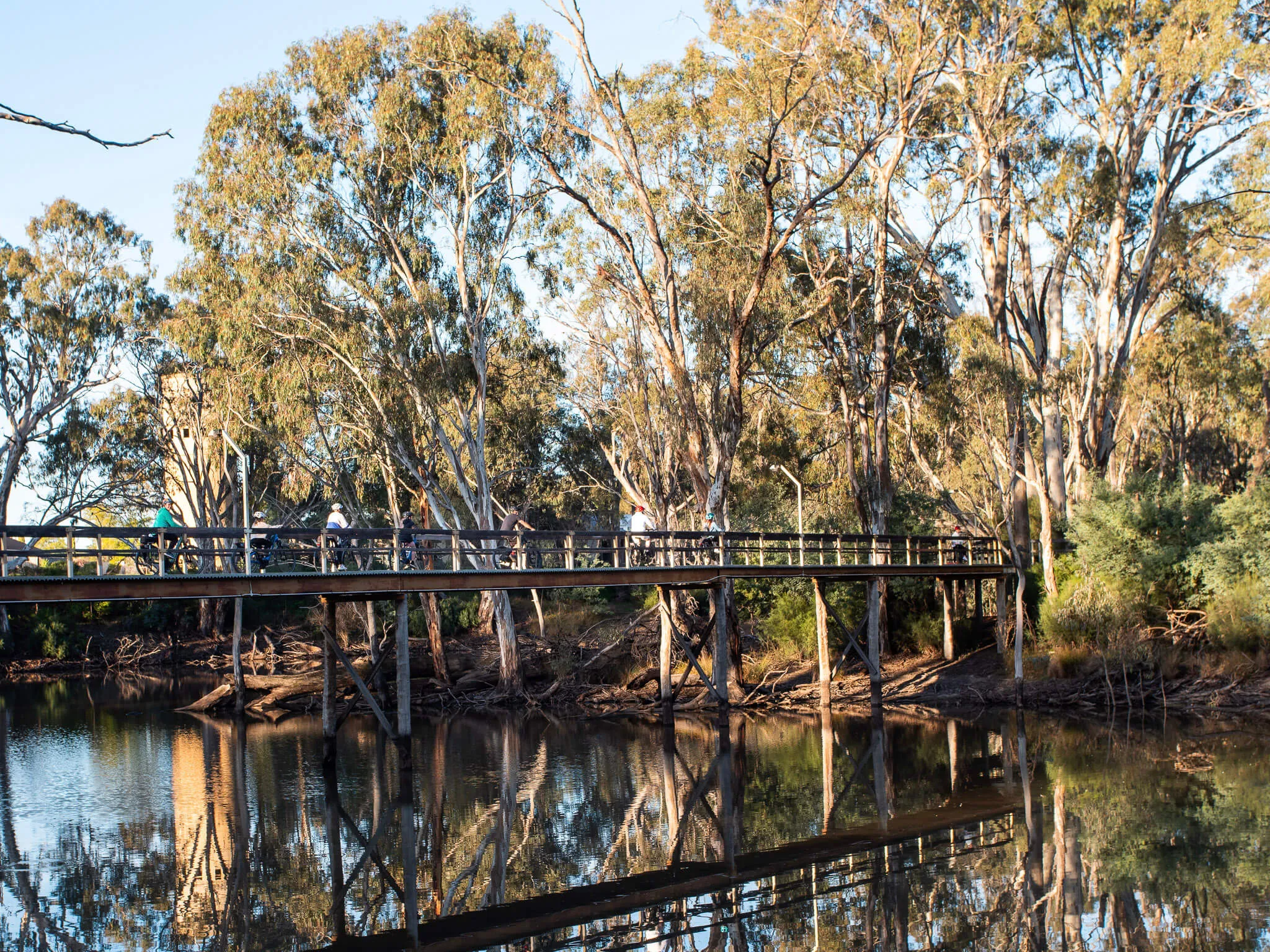 Echuca Moama Guided Scenic eBike Tour - Book Now | Experience Oz-7