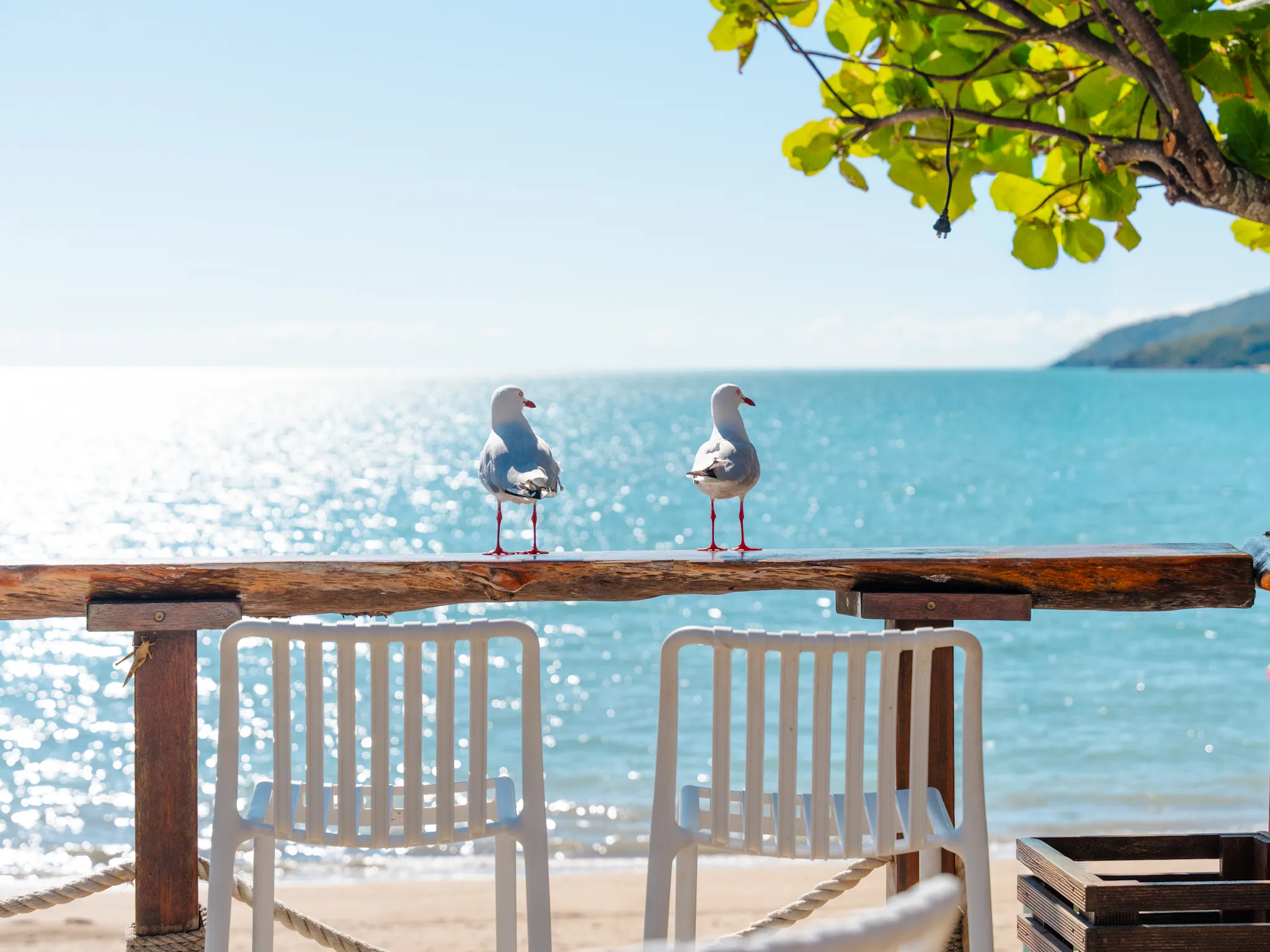 Whitsundays Cape Gloucester Coastal Day Tour | Experience Oz-8
