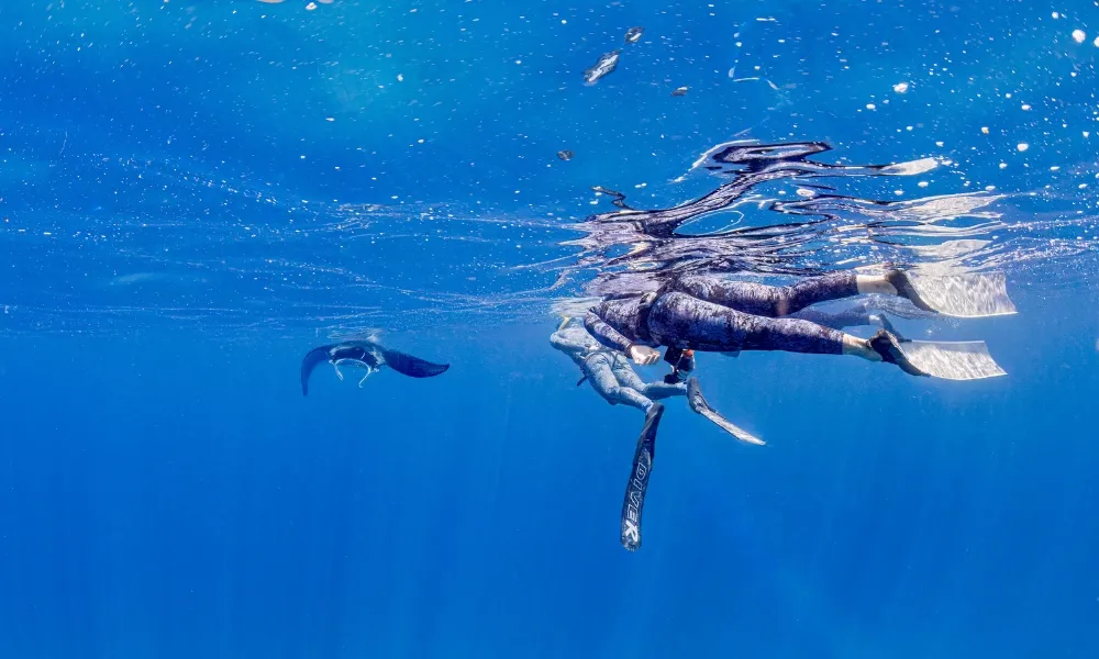 Southern Great Barrier Reef Snorkel Tour - Day | Experience Oz-5