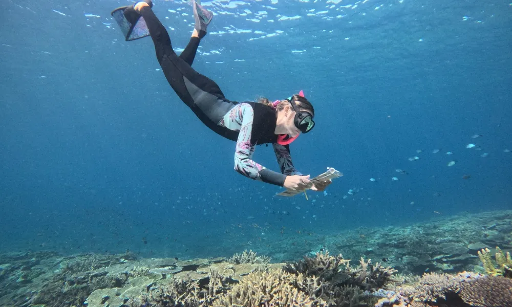 Southern Great Barrier Reef Snorkel Tour - Day | Experience Oz-4