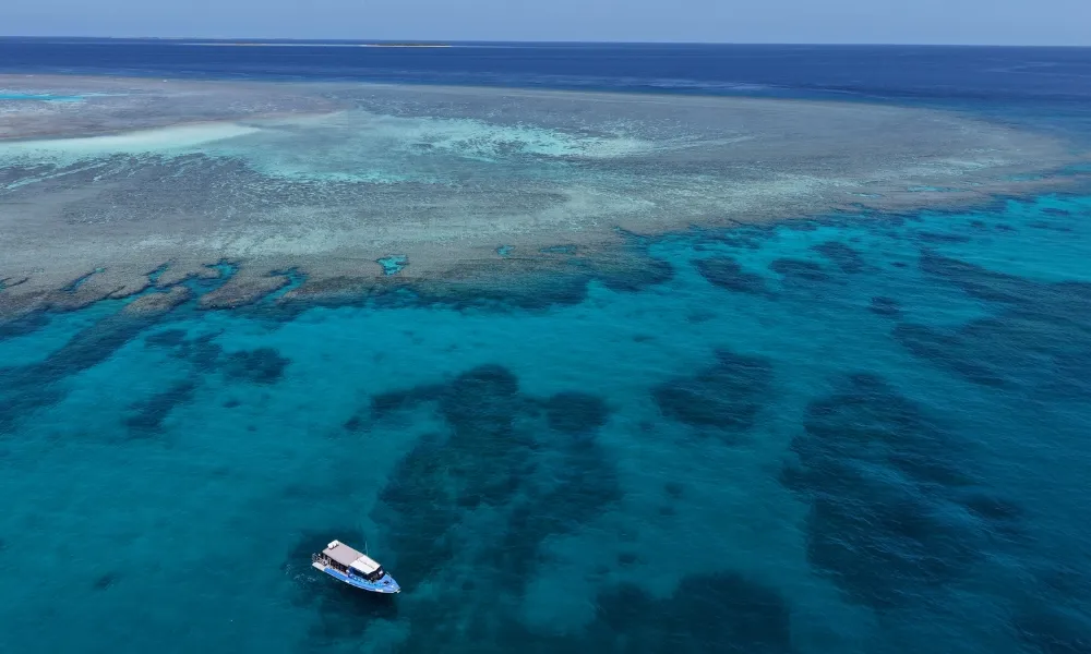 Southern Great Barrier Reef Snorkel Tour - Day | Experience Oz-6