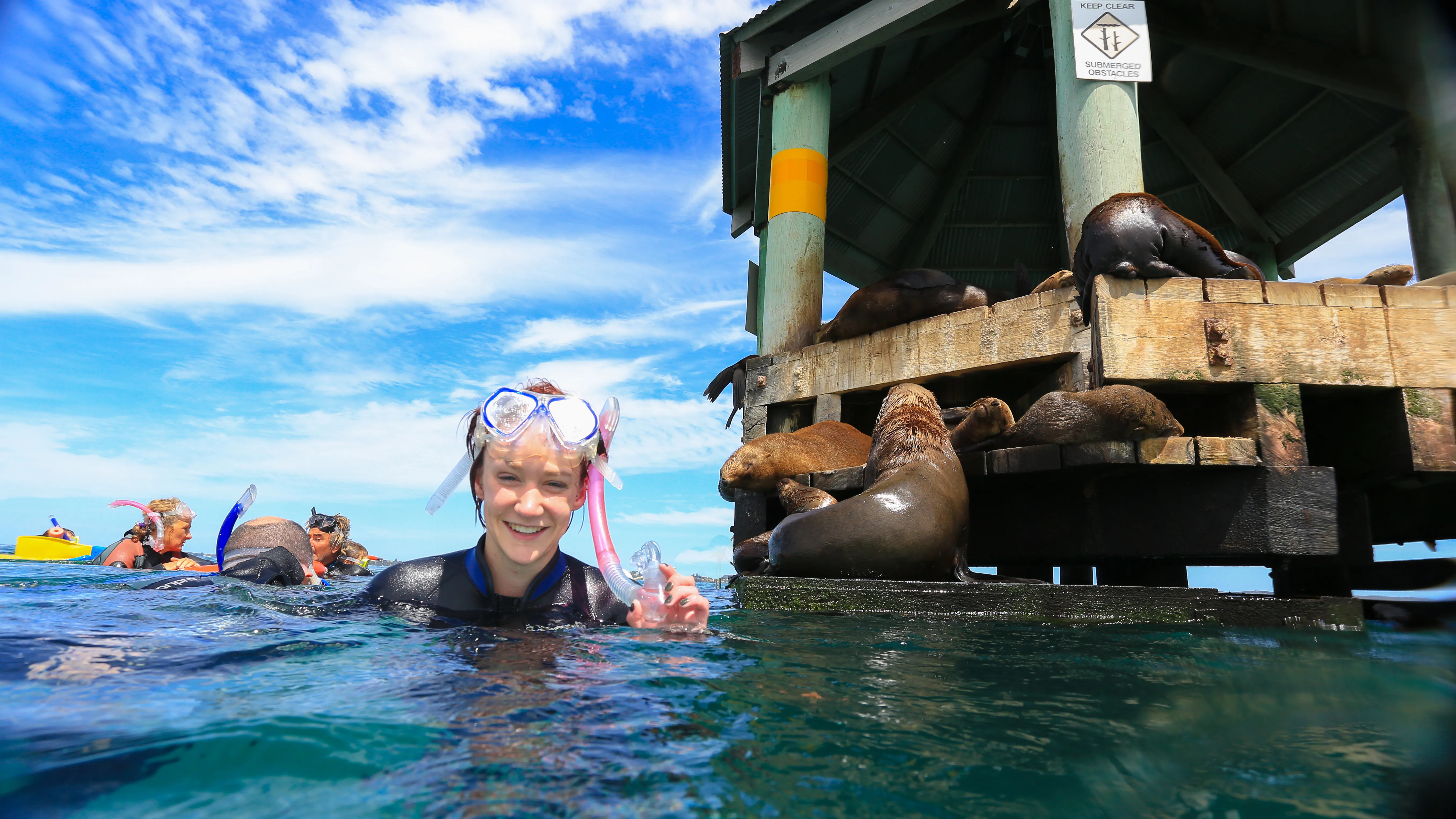 Mornington Peninsula Day Tour & Seal Snorkel | Experience Oz-1
