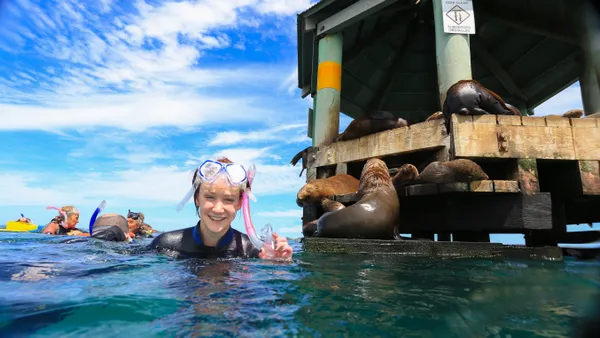 Mornington Peninsula Day Tour & Seal Snorkel from Melbourne
