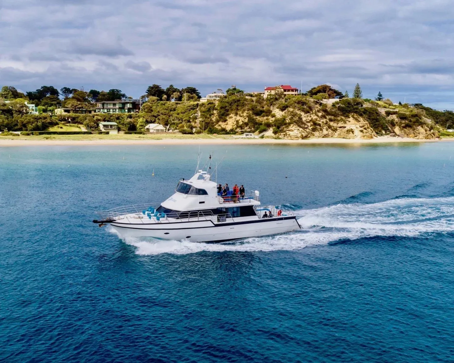 Mornington Peninsula Day Tour & Seal Snorkel | Experience Oz-4