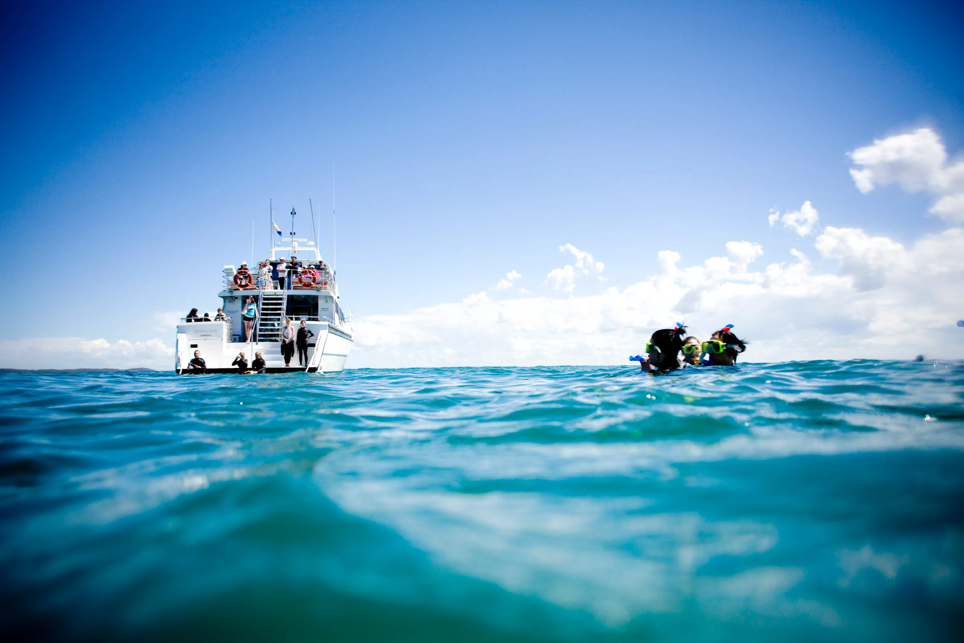 Mornington Peninsula Day Tour & Seal Snorkel | Experience Oz-7