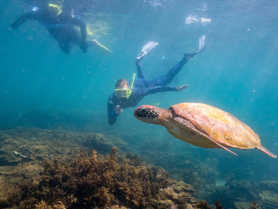 Magnetic Island Full Circuit Scenic Cruise | Experience Oz-2