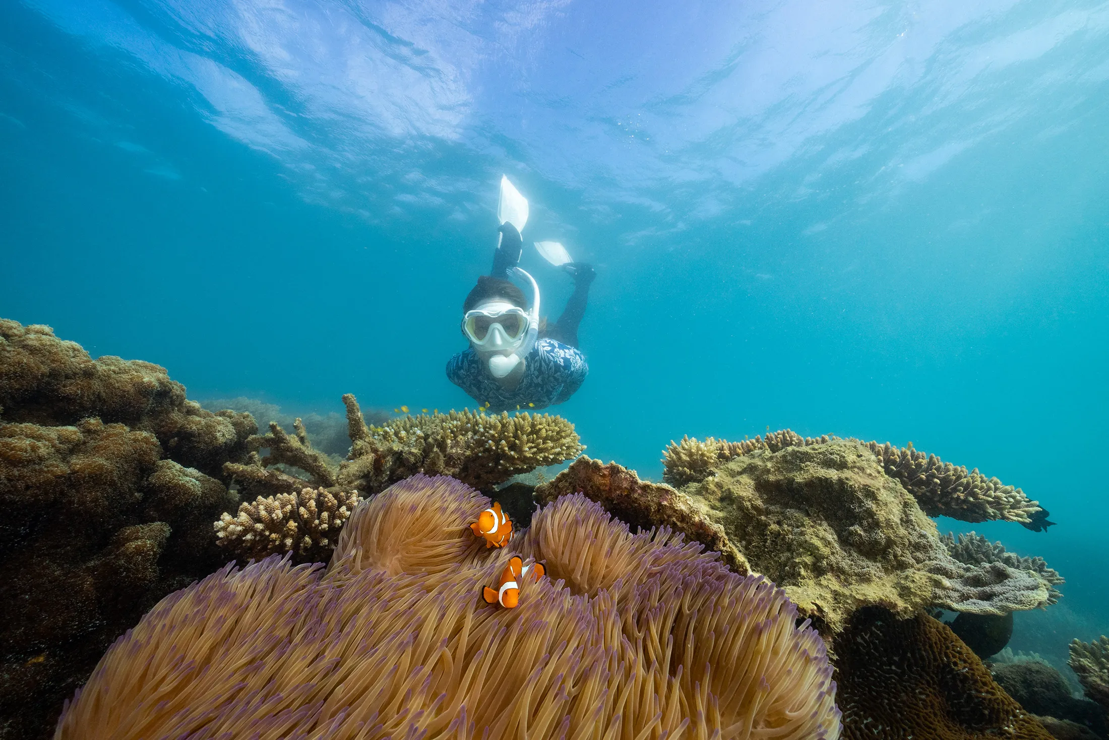 Ferry & Snorkel Tour from Cairns - Full Day | Experience Oz-2