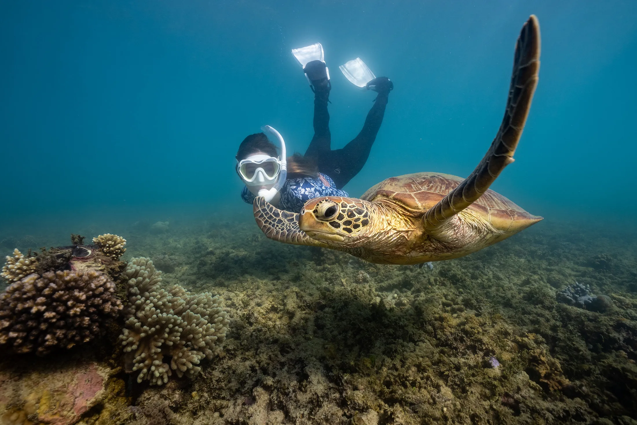 Ferry & Snorkel Tour from Cairns - Full Day | Experience Oz-5