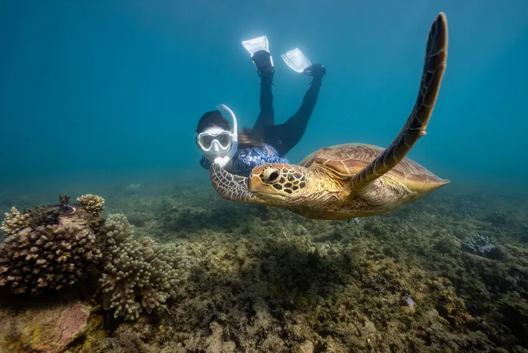 Ferry & Snorkel Tour from Cairns - Full Day | Experience Oz