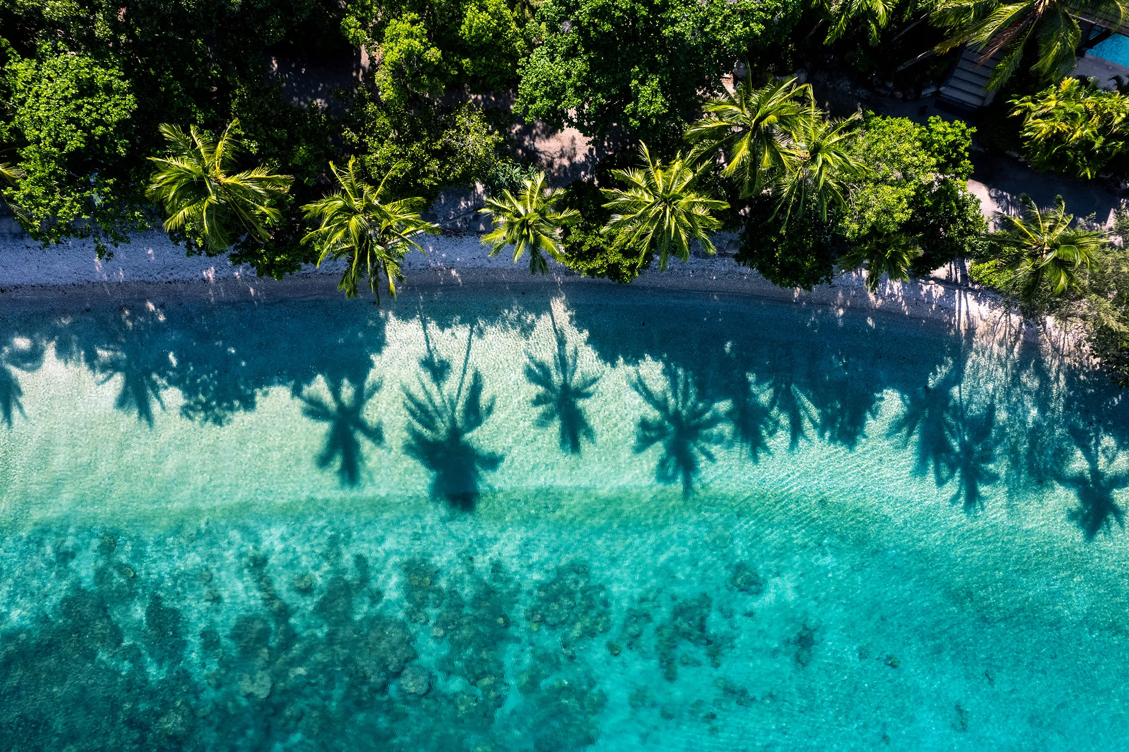 Ferry & Snorkel Tour from Cairns - Full Day | Experience Oz-3