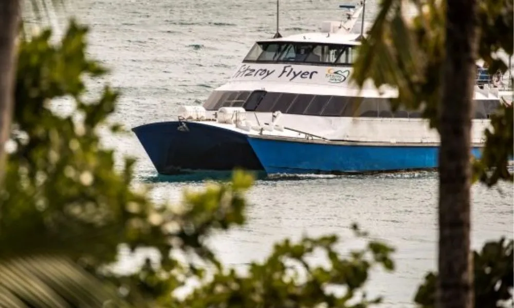 Ferry & Snorkel Tour from Cairns - Full Day | Experience Oz-4