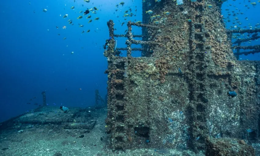 Sunshine Coast HMAS Brisbane Wreck Double Dive | Experience Oz