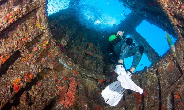 Sunshine Coast HMAS Brisbane Wreck Double Dive – Half Day