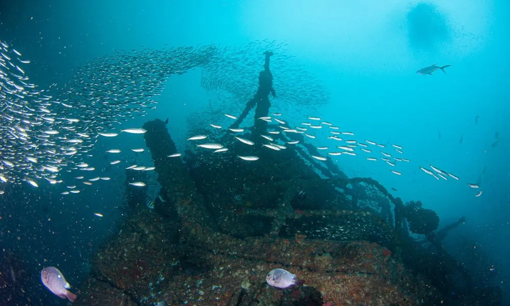 Sunshine Coast HMAS Brisbane Wreck Double Dive | Experience Oz-2