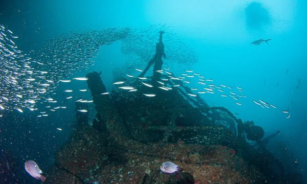 Sunshine Coast HMAS Brisbane Wreck Double Dive – Half Day