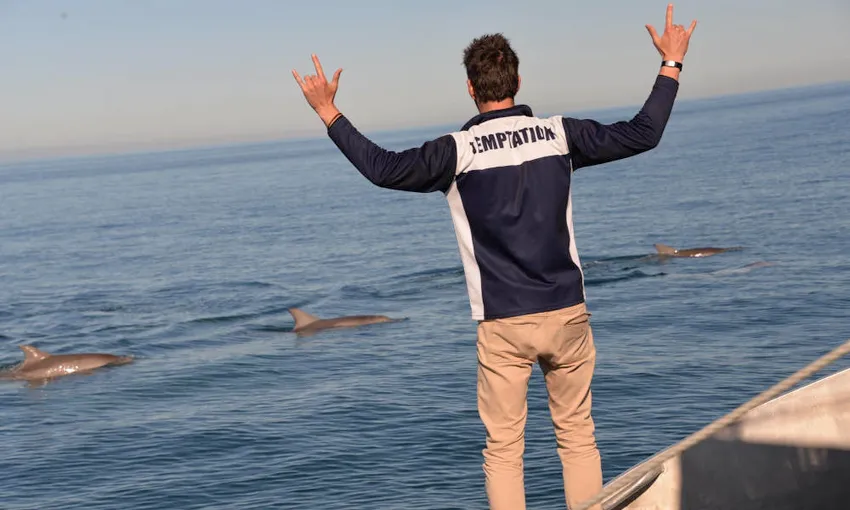 Adelaide Dolphin Watching Cruise - Book Now | Experience Oz