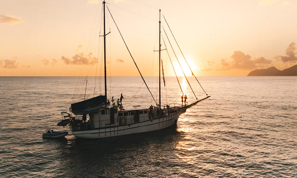 Whitsundays New Horizon Sail - 2 Nights | Experience Oz-11