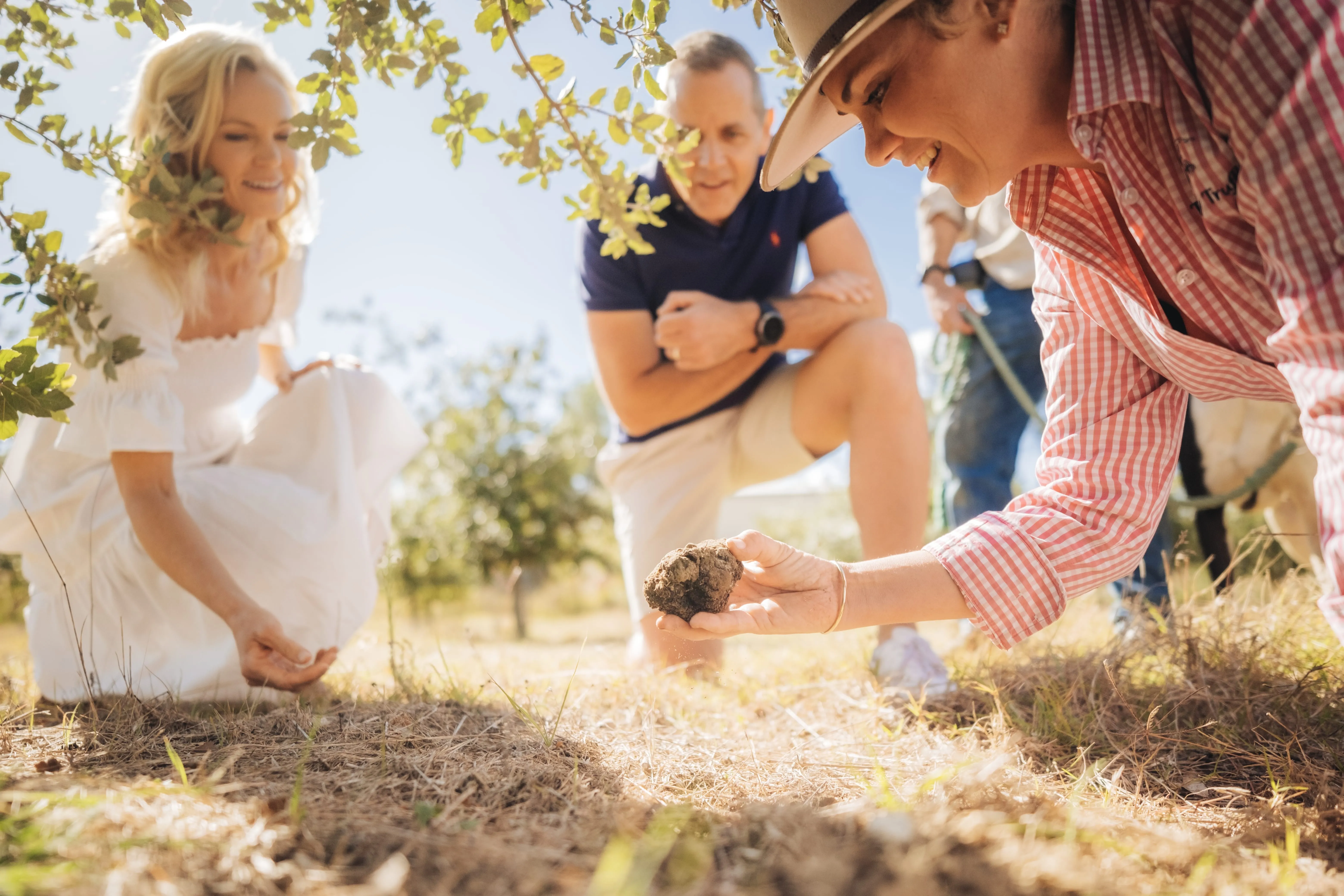 Granite Belt Guided Truffle Farm Tour with Lunch | Experience Oz-4