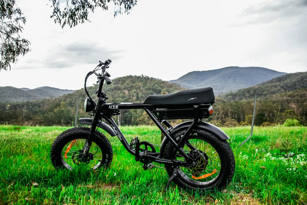 Healesville eBike Tour with Tastings - 6 Hours | Experience Oz-2