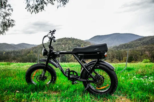 Healesville eBike Tour with Tastings and Dinner - 6 Hours