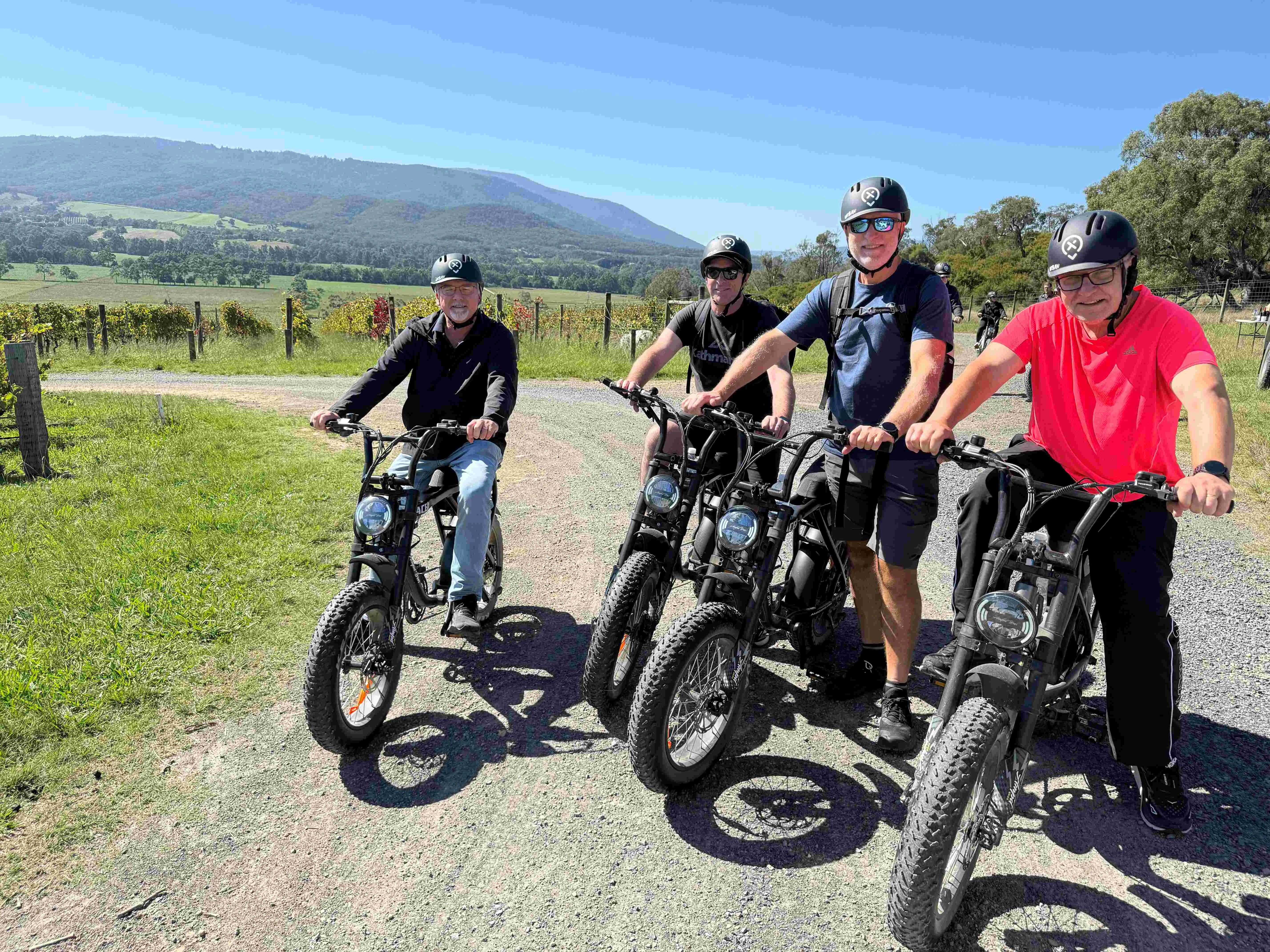 Yarra Valley Electric Bike Tour with Lunch | Experience Oz-1