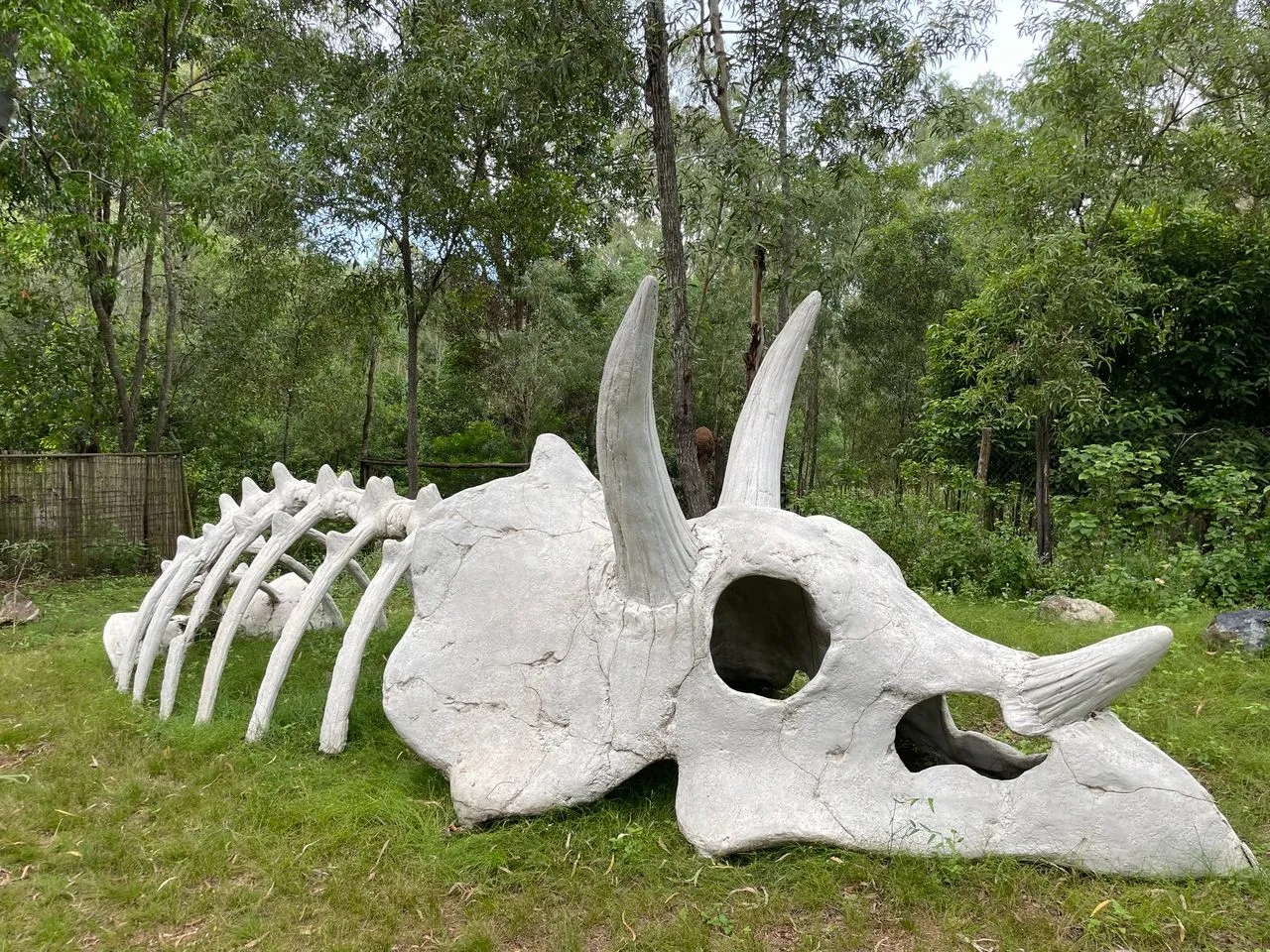 Capricorn Dinosaur Park Admission Tickets | Experience Oz-4