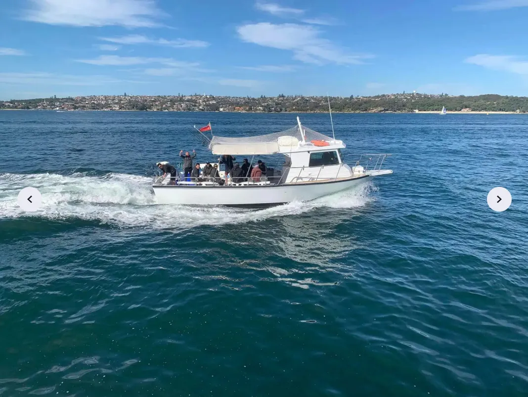 Offshore Deep Sea Reef Fishing Charter from Sydney - 4 Hours  | Experience Oz-5
