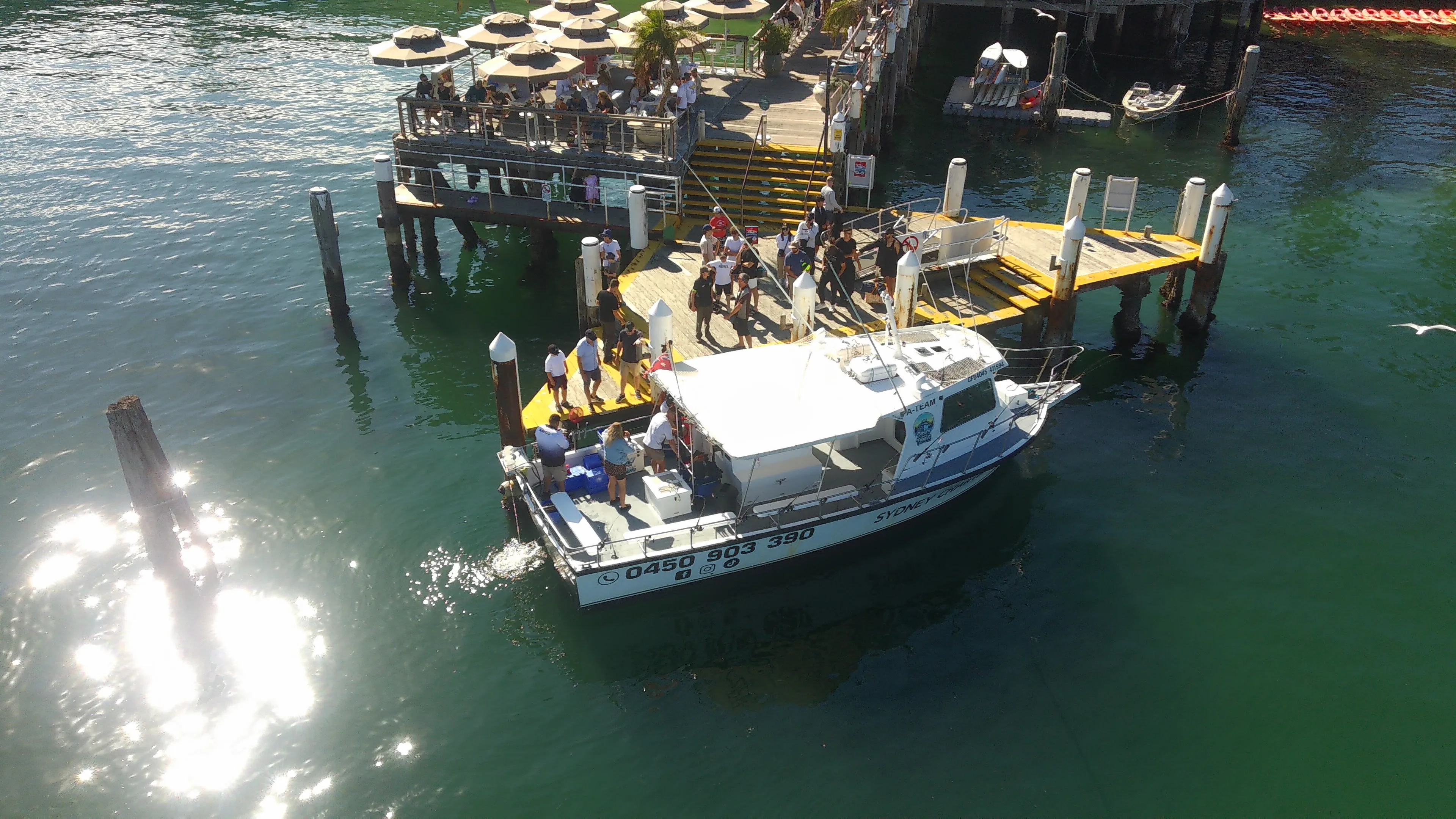 Offshore Deep Sea Reef Fishing Charter from Sydney - 4 Hours  | Experience Oz-9