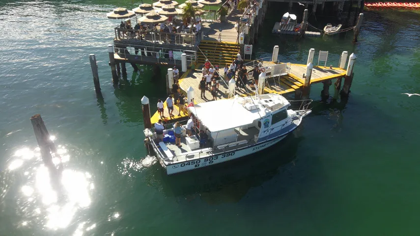 Offshore Deep Sea Reef Fishing Charter from Sydney - 4 Hours 